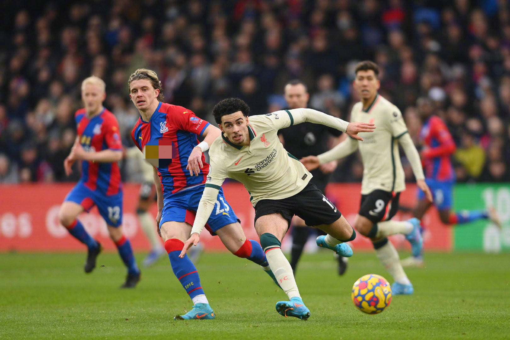 灵活的转会 灵活的转会